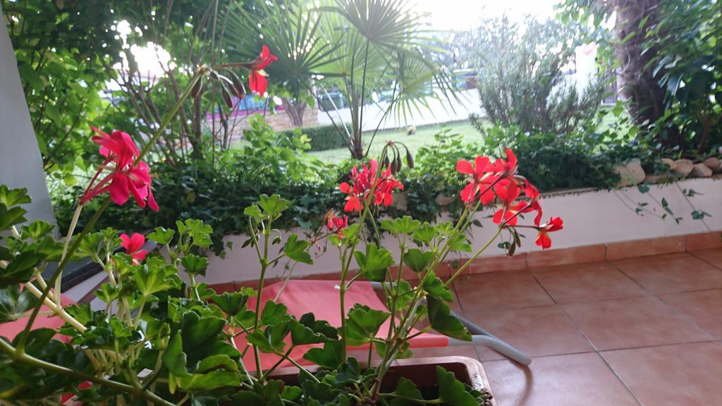 Apartment Devcic Porec Ngoại thất bức ảnh